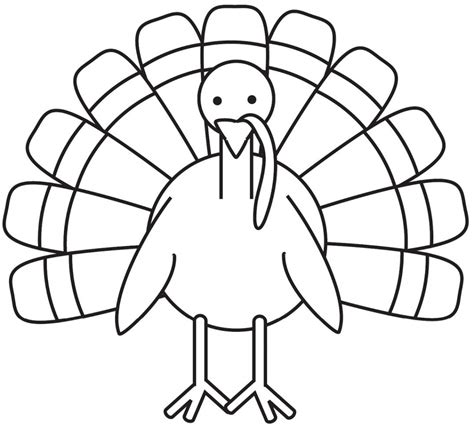 Basic Turkey Drawing At Getdrawings Free Download