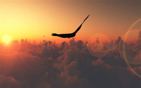 Flying High Wallpapers Wallpaper Cave