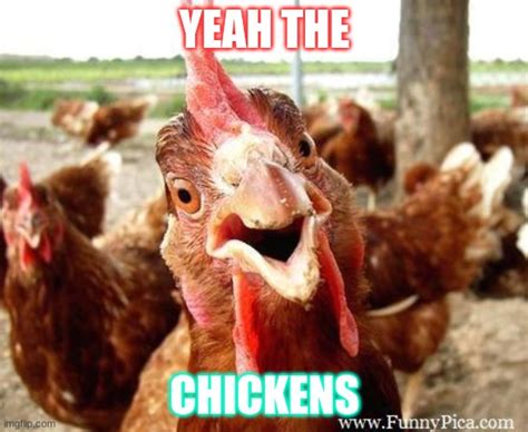 Chicken Memes Imgflip