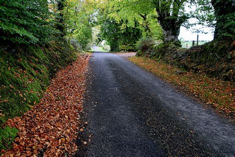 Fallen Leaves Along Laurel Road © Kenneth Allen Geograph Ireland