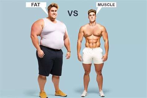 Is Muscle Weight More Than Fat Muscle Vs Fat