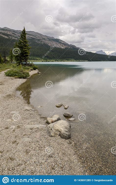 Bow Lake In Cloudy Day In Summer In Banff National Park Stock Image