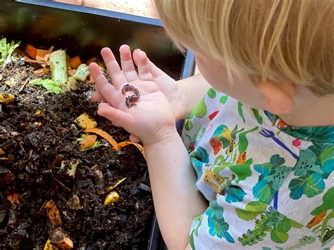 Composting With A Preschooler Using A Worm Farm Vermi Composting