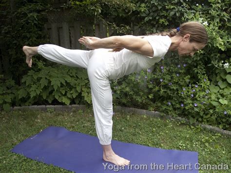 Balancing Scales Swallow Ii Yoga Position Yoga From The Heart Canada