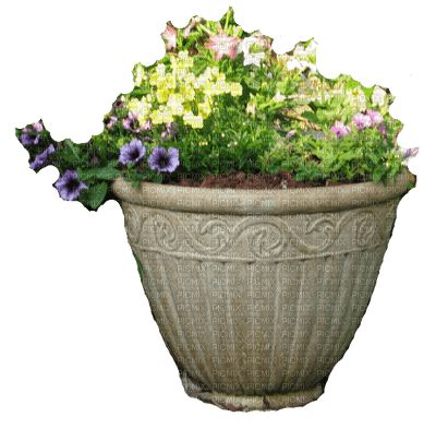 Flower Pot, garden , june , 14 , 234 , png - PicMix