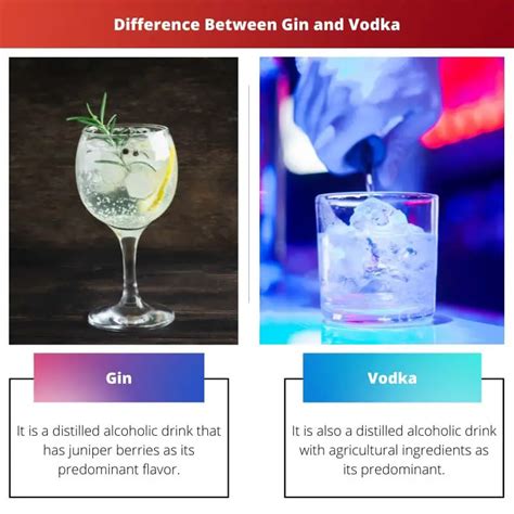 Gin Vs Vodka Difference And Comparison