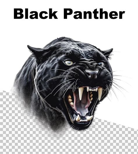 Une Affiche Avec Une Panthère Noire Agressive Avec Les Mots Black