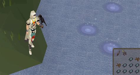 Fly Fishing Osrs Detailed Guide Fishing Guide For Osrs Updated 2020