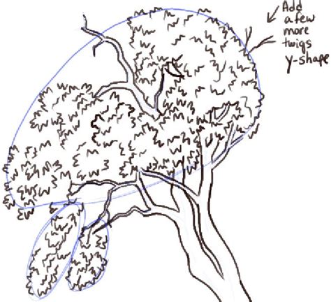 How To Draw Trees And Oak Trees With Simple Steps Tutorial How To