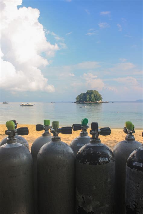 This dive site is more suited for advanced and leisure divers, where the large openings allow divers to enter and explore the wreck from the stern to bow. GO: Help save the Tioman reefs | New Straits Times ...