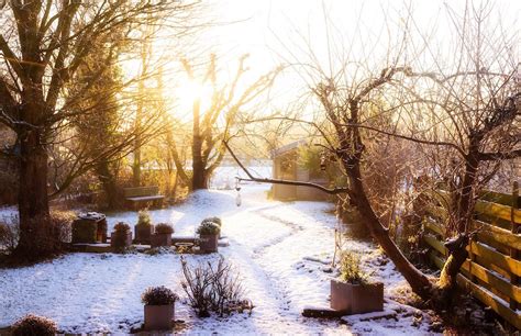 Winter Gardening Tips What To Plant And What To Protect Bury Hill