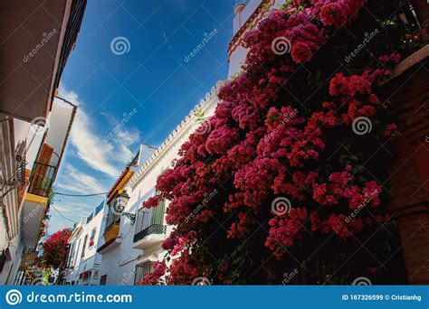 Marbella City Centre Street Scene Stock Image Image Of Narrow Europa