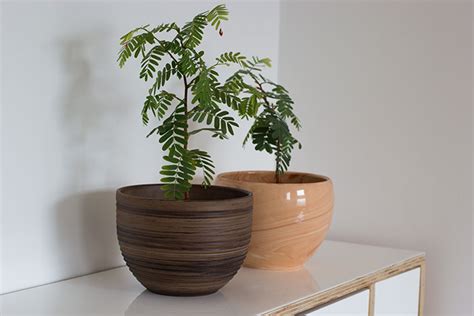 Choosing Plant Pots Which Is The Best Option My Tips