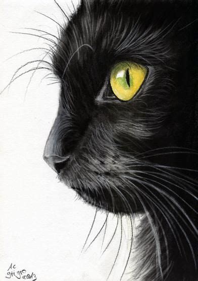 Black Cat Profile By Art It Art On Deviantart Portrait Au Crayon