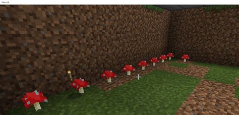 Where Can I Find Brown Mushrooms In Minecraft