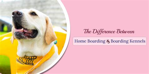 The Difference Between Home Boarding And Boarding Kennels