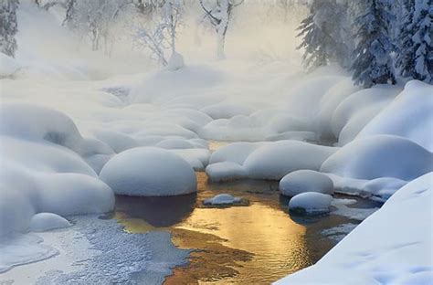 Winter Wonderland 18 Breathtaking Winter Photography Design Swan