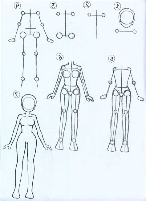 How To Draw Human Body Step By Step Draw Human Body Parts Bodewasude