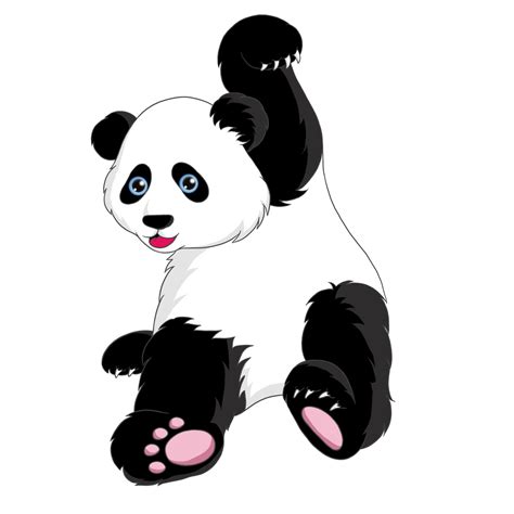 Pandas Géant Transparent Png Png Play