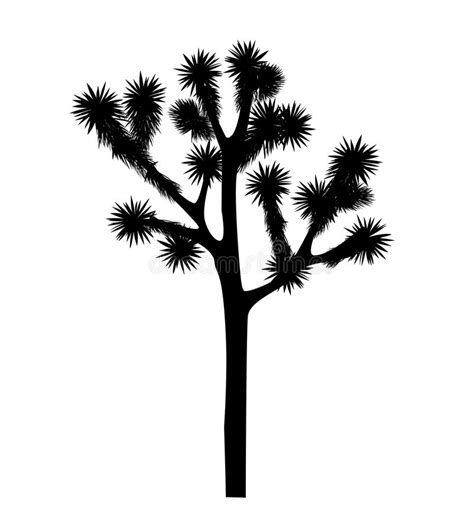 Joshua Tree Clip Art 10 Free Cliparts Download Images On Clipground 2024