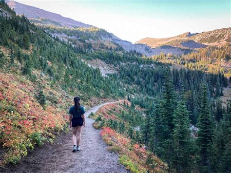 5 Epic Fall Hikes At Mount Rainier The National Parks Experience
