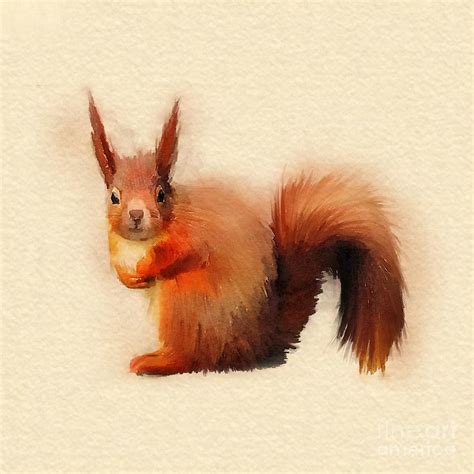 Red Squirrel Digital Art By John Edwards Fine Art America