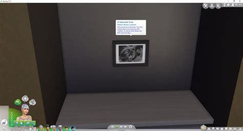 Sims 4 Birth Certificate
