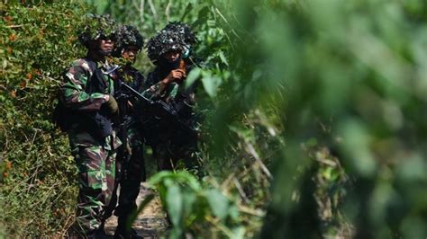 Check spelling or type a new query. Menguak Alasan Warna Loreng Identik dengan Pakaian Militer | KASKUS