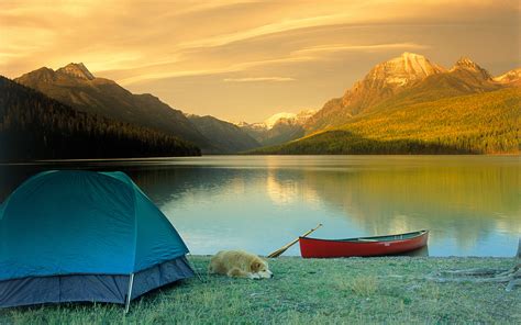 Angrenzend camp resort mit tipizelten, blockhäusern und planwagen. World's Best Camp Sites | Travel + Leisure