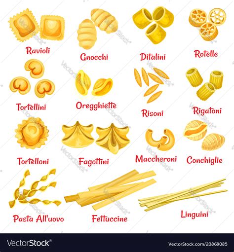 Pasta Type With Name Poster Of Italian Macaroni Vector Image
