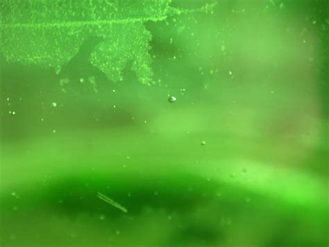 Imageafter Photos Lightfx Lighteffects Texture Glass Green Bubble