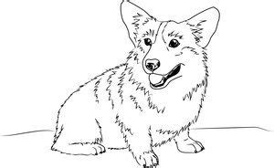 This puppy coloring page features an adorable pup decked out with sunglasses, chilling out on the beach, enjoying the palm trees and crashing waves. corgi coloring page | Corgi artwork, Corgi face, Corgi