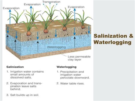 Ppt Definition Of Soil Powerpoint Presentation Free Download Id