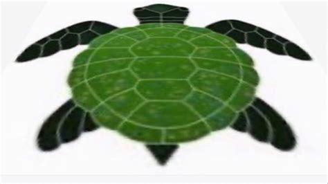 Turtle Acupuncture Level 2 Acupuncture Courses By Master Hemant
