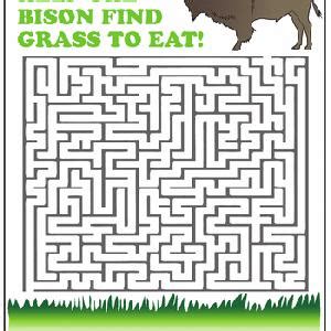 Amazing Animal Mazes - 1st Grade Worksheets | Education.com