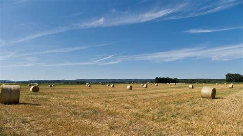 Free Images Landscape Horizon Plant Hay Field Farm Meadow