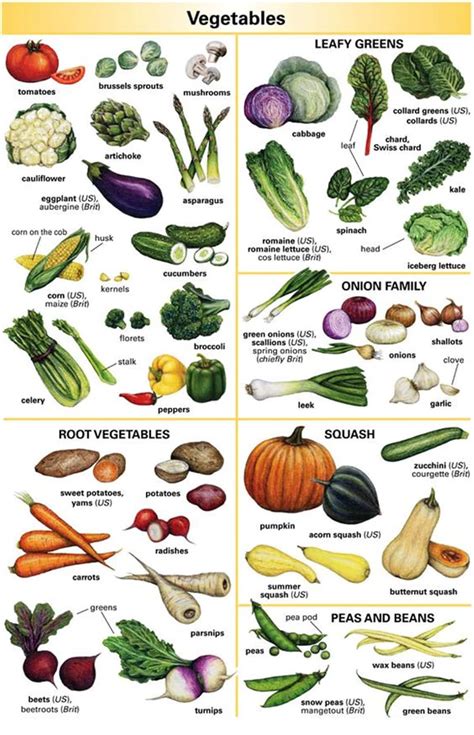 Vegetables Vocabulary In English Eslbuzz