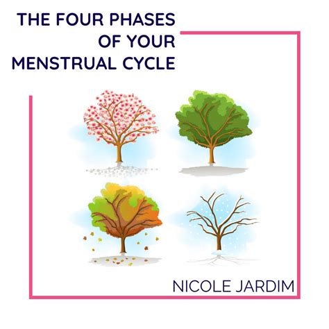 The Four Phases Of Your Menstrual Cycle