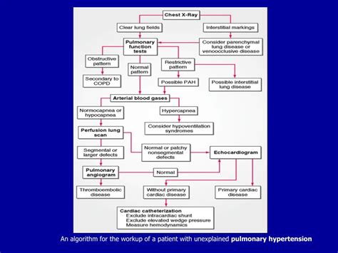 Newborn (hdfn), 481 rh immune globulin (rhig) workup granulocyte erythrocyte monocyte megakaryocyte. PPT - 七院聯合病例討論會 PowerPoint Presentation, free download ...