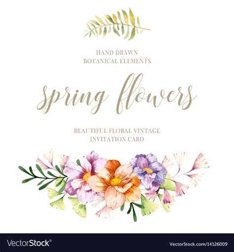 Watercolor Spring Flowers Royalty Free Vector Image
