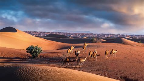 Creating dramatic desert photography | Photofocus
