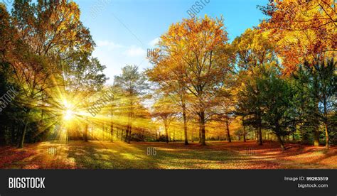 Sunny Autumn Scenery Image And Photo Free Trial Bigstock