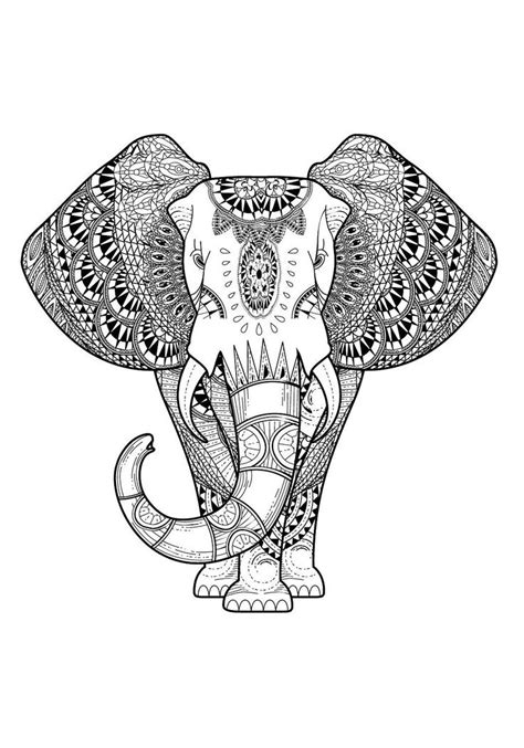 colour calm  sampler paisley coloring pages mandala coloring pages elephant coloring page