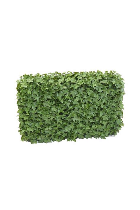 Artificial Uv Protected Ivy Hedge