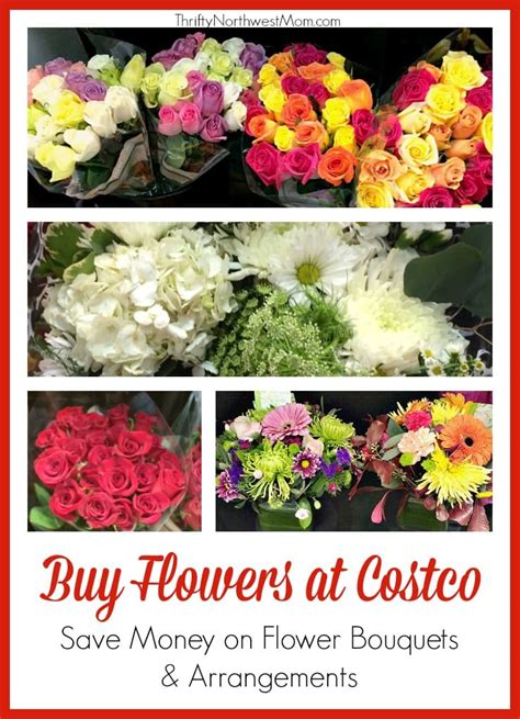 Nov 16, 2012 · shop costco's rochester, mn location for electronics, groceries, small appliances, and more. Costco Flowers - Beautiful Flowers as low as $9.99 / Bouquet!