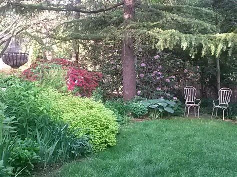 .growing rhododendrons, and well designed rhododendron gardens always contain a selection of ferns. Azalea rhododendron spirea hosta lily iris sedum | Spirea ...