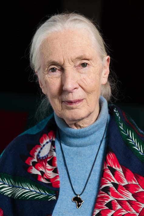 Jane Goodall The Hope Fans Feel Positive And Emotional After Watching Inspiring Chimp Lady