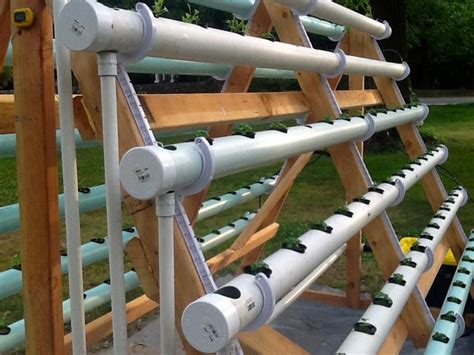 It makes a wonderful hobby that. Build an Efficient A-Frame Hydroponic System! | Your ...