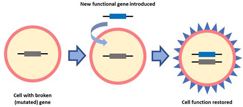 Gene Therapy And Clinical Trials To Treat Vision Loss Fighting