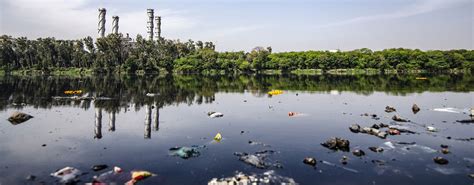 Lake Pollution Solutions Polluted Lake Cleanup